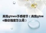 真我gtneo手感调节（真我gtneo振动强度怎么调）