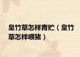 皇竹草怎样青贮（皇竹草怎样喂猪）