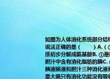 如图为人体消化系统部分结构示意图有关说法正确的是（　　）A.（③是胃能将蛋白质初步分解成氨基酸B. ①是肝脏它分泌的胆汁中含有消化脂肪的酶C. ⑤是小肠内有胰液肠液和胆汁三种消化液利于消化D. ②是大肠只有消化功能没有吸收功能