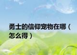 勇士的信仰宠物在哪（怎么得）