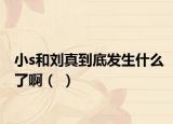小s和刘真到底发生什么了啊（ ）