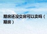 期房还没交房可以卖吗（期房）
