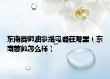 东南菱帅油泵继电器在哪里（东南菱帅怎么样）