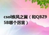 csol疾风之翼（和QBZ95B哪个厉害）