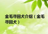 金毛寻回犬介绍（金毛寻回犬）
