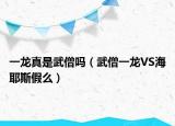 一龙真是武僧吗（武僧一龙VS海耶斯假么）