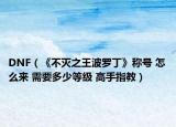 DNF（《不灭之王波罗丁》称号 怎么来 需要多少等级 高手指教）