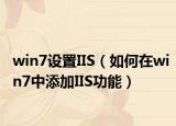 win7设置IIS（如何在win7中添加IIS功能）