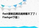 flash更新后腾讯视频看不了了（Flashget下载）