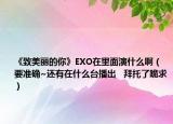 《致美丽的你》EXO在里面演什么啊（要准确~还有在什么台播出   拜托了跪求）