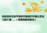 风轻轻听见你声音你对着我叮咛要注意自己的心情......（是哪首歌的歌词）