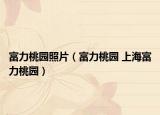 富力桃园照片（富力桃园 上海富力桃园）