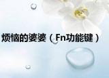 烦恼的婆婆（Fn功能键）