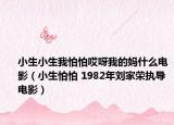 小生小生我怕怕哎呀我的妈什么电影（小生怕怕 1982年刘家荣执导电影）