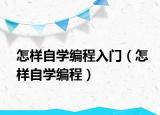 怎样自学编程入门（怎样自学编程）