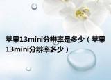 苹果13mini分辨率是多少（苹果13mini分辨率多少）