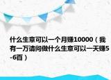 什么生意可以一个月赚10000（我有一万请问做什么生意可以一天赚5-6百）