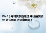 DNF（商城买东西赠送 幸运抽奖机会 怎么抽奖 去哪里抽奖）