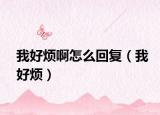 我好烦啊怎么回复（我好烦）