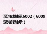 深沟球轴承6002（6009深沟球轴承）