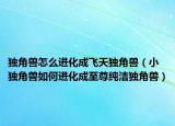 独角兽怎么进化成飞天独角兽（小独角兽如何进化成至尊纯洁独角兽）
