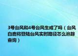 3号台风和4号台风生成了吗（台风白鹿将登陆台风实时路径怎么追踪查询）