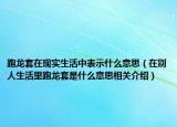 跑龙套在现实生活中表示什么意思（在别人生活里跑龙套是什么意思相关介绍）