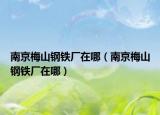 南京梅山钢铁厂在哪（南京梅山钢铁厂在哪）