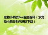 宠物小精灵bw百度百科（求宠物小精灵BW游戏下载）