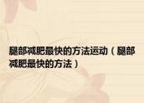 腿部减肥最快的方法运动（腿部减肥最快的方法）