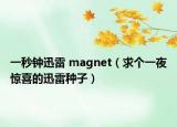 一秒钟迅雷 magnet（求个一夜惊喜的迅雷种子）