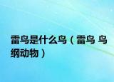 雷鸟是什么鸟（雷鸟 鸟纲动物）