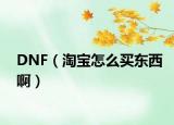 DNF（淘宝怎么买东西啊）