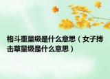 格斗重量级是什么意思（女子搏击草量级是什么意思）