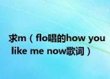求m（flo唱的how you like me now歌词）