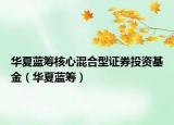 华夏蓝筹核心混合型证券投资基金（华夏蓝筹）