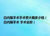 白内障手术手术费大概多少钱（白内障手术 手术名称）