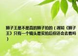 狮子王是不是真的狮子拍的（得知《狮子王》只有一个镜头是实拍后你还会去看吗）