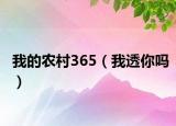 我的农村365（我透你吗）