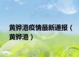 黄骅港疫情最新通报（黄骅港）