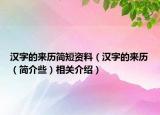 汉字的来历简短资料（汉字的来历（简介些）相关介绍）