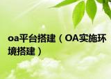 oa平台搭建（OA实施环境搭建）