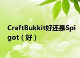 CraftBukkit好还是Spigot（好）