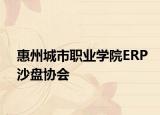 惠州城市职业学院ERP沙盘协会