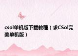 csol单机版下载教程（求CSol完美单机版）