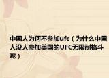 中国人为何不参加ufc（为什么中国人没人参加美国的UFC无限制格斗呢）