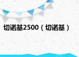 切诺基2500（切诺基）