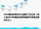 2019猪肉价格为什么提高了这么多（有人说2019年猪肉会贵养猪却不挣钱这是为什么）
