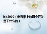 isk5000（电容麦上的两个开关是干什么的）