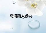 乌海狗人参丸